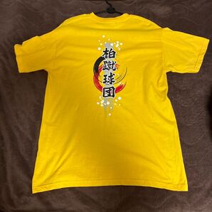 柏レイソル Tシャツ 柏蹴球団 Mサイズ