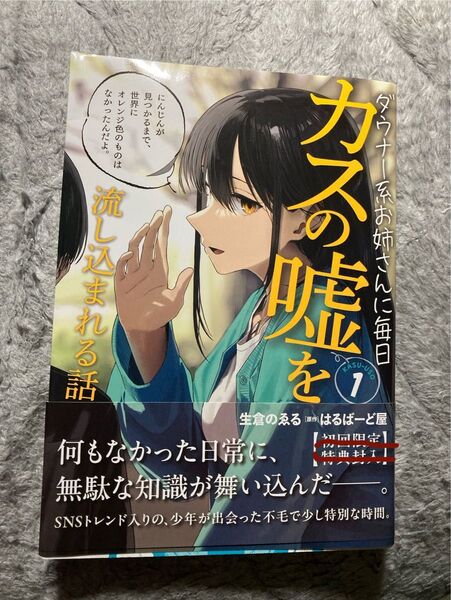 ダウナー系お姉さんに毎日カスの嘘を流し込まれる話 1 特典無し