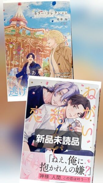 カラー・コレクション―PARADE― 芹澤知 ねがい結んで恋 熊雪ふる コミック 新刊 BL ホーム社 ブルメロ メロキス
