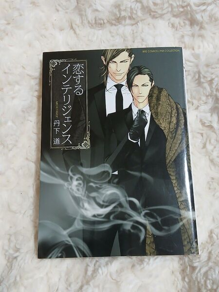 中古品 恋するインテリジェンス 丹下道 コミック BL幻冬舎 1巻