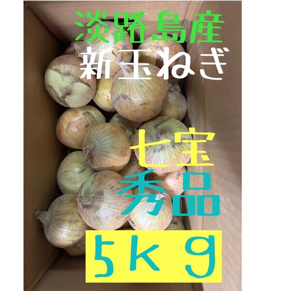 淡路島産新玉ねぎ秀品5キロ