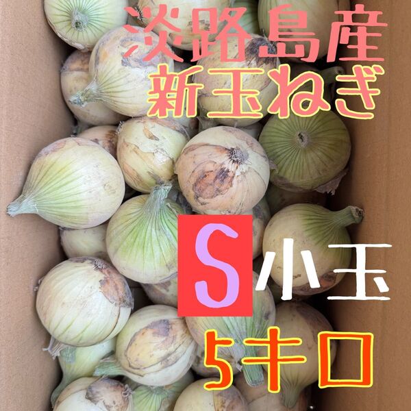 淡路島産新玉ねぎS小玉5キロ
