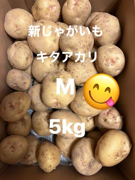 新じゃがいも キタアカリ M 5kg