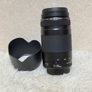 完動品 キャノン Canon EF 75-300mm F/4-5.6 II