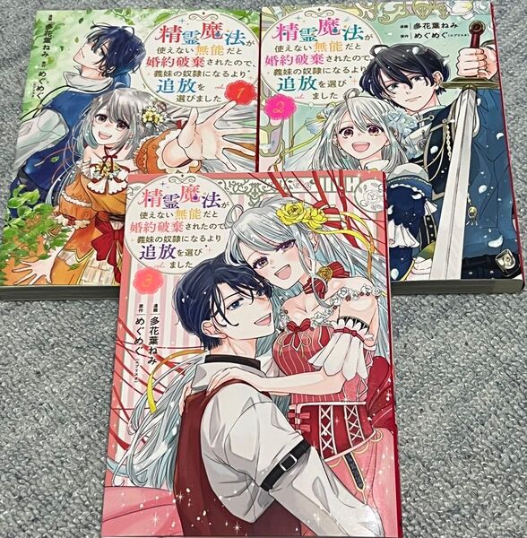 精霊魔法が使えない無能だと婚約破棄されたので、義妹の奴隷になるより追放を選びました 1 2 3 多花葉ねみ めぐめぐ ①②③