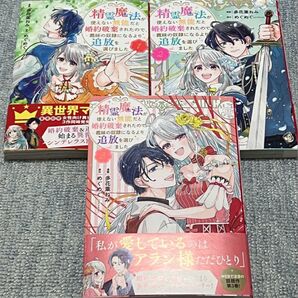 精霊魔法が使えない無能だと婚約破棄されたので、義妹の奴隷になるより追放を選びました 1 2 3 多花葉ねみ めぐめぐ ①②③