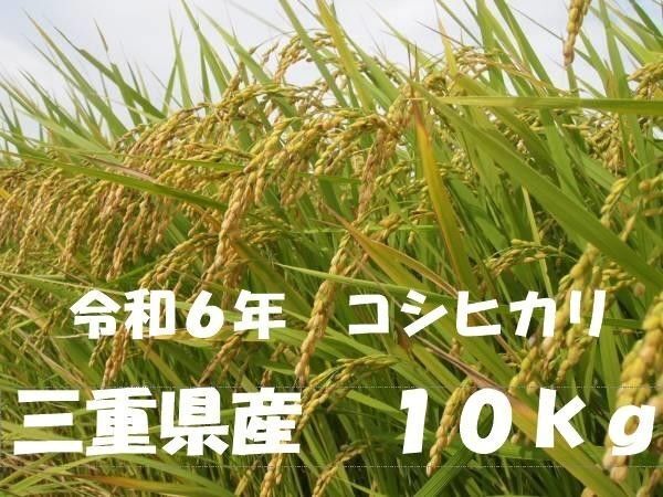 ♪三重のお米♪ 令和6年産 三重県産 コシヒカリ 玄米 10kg 精米無し 風袋除く正味重量です! 残りわずか