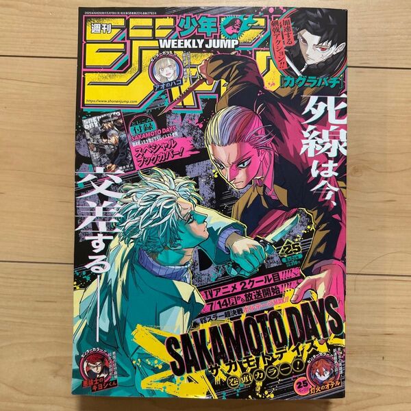 週刊少年ジャンプ 25号 2025年6月2日号 (集英社)