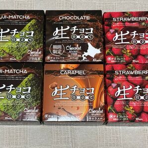 ショコラ生チョコ仕立て 宇治抹茶、北海道ミルク、キャラメル、いちご チョコレート 6点セット
