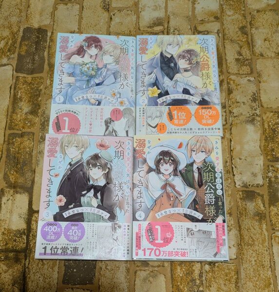 「きみを愛する気はない」と言った次期公爵様がなぜか溺愛してきます 1〜4巻