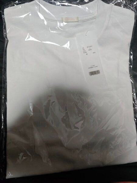 COMOLI コットンジャージ 半袖Tシャツ