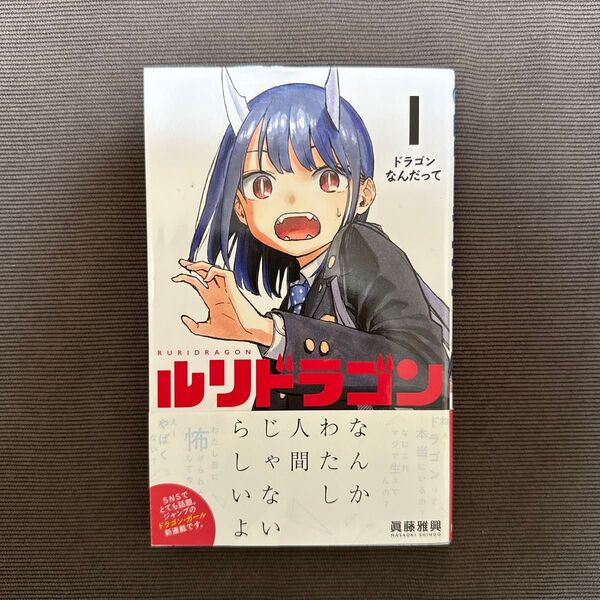 ルリドラゴン(1巻)