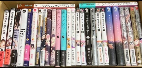 上下巻セット バラ売り可