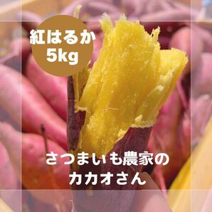 茨城県産 紅はるか 2Sサイズ5キロ水洗い済み 熟成 ラストです