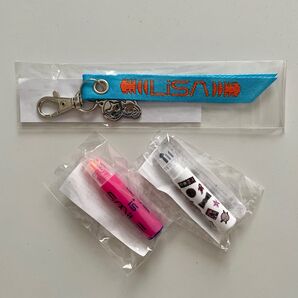 LiSA LANDERツアー グッズ