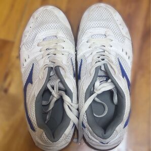 体育館シューズ