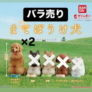 【バラ売り】まちぼうけ犬 フィギュア 【表示価格は1つのお値段です】ゴールデンレトリバー
