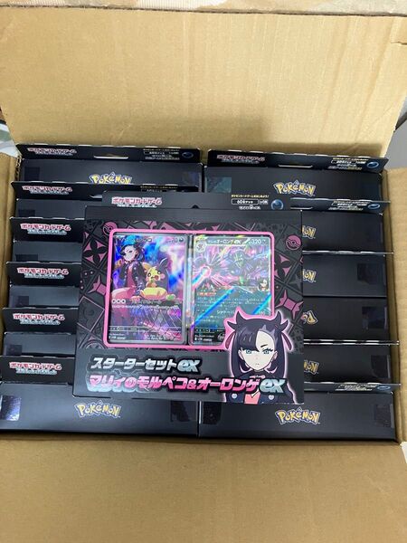 マリィのモルペコ スターターセットex 13セット 新品未開封品 ポケモンカード