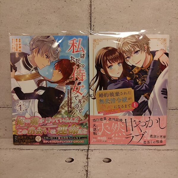 私はただの侍女ですので1巻 / 婚約破棄された無表情令嬢が幸せになるまで1巻