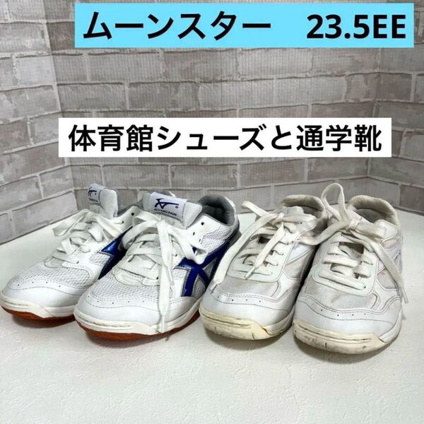ムーンスター 23.5 通学靴と体育館シューズ 中学生 23.5EE ジムスター SCアスレチック