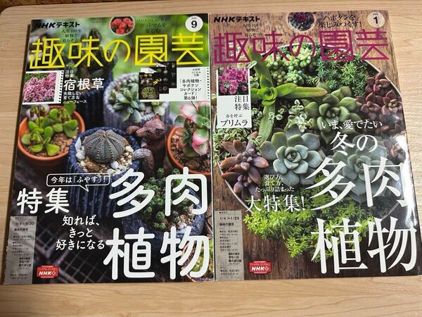 趣味の園芸 多肉植物 2冊 NHKテキスト