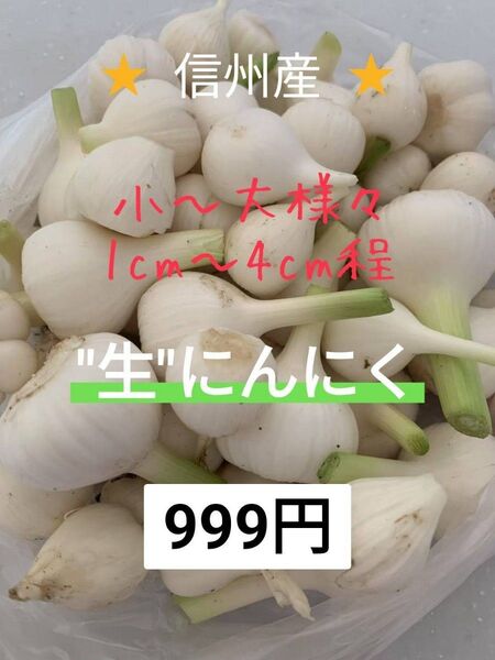 "生"にんにく 宅急便コンパクト 800g〜900g 長野県産 信州 産地直送