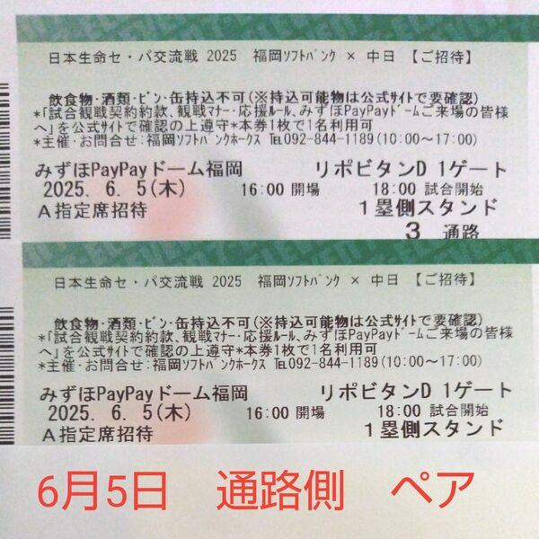 ソフトバンクホークスvs中日 6月5日 A指定席 一塁側2枚セット 通路側