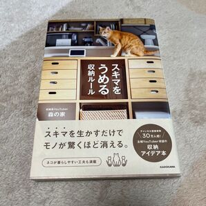 スキマを生かすだけでモノが驚くほど消える。 収納アイデア本