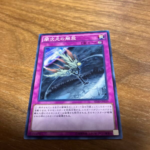 遊戯王 闇次元の解放 ノーマル