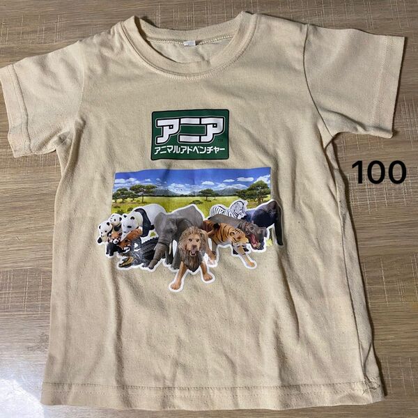 アニア Tシャツ 100
