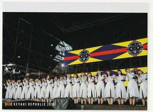 欅坂46 欅共和国2018 ポストカード RF-2236C-5 欅共和国2018初回生産限定盤封入特典 ※送料84円～