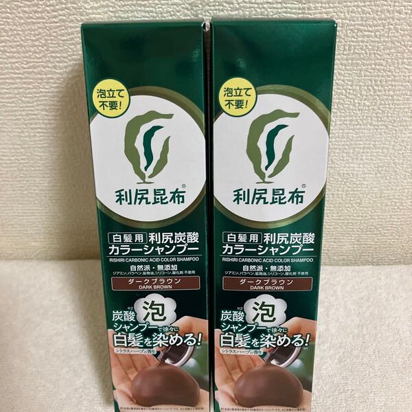 サスティ☆利尻炭酸カラーシャンプー 2点セット ダークブラウン