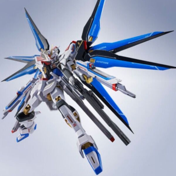 【新品未使用】METAL ROBOT魂 ストライクフリーダムガンダム弐式