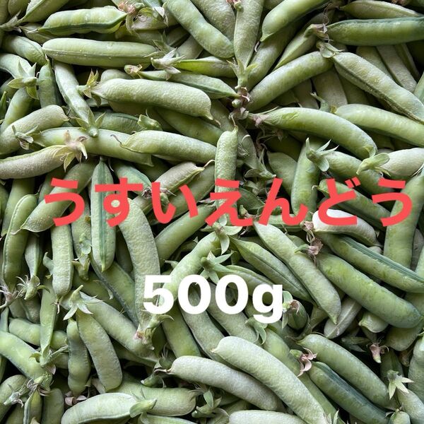 高知県産無農薬うすいえんどう500g