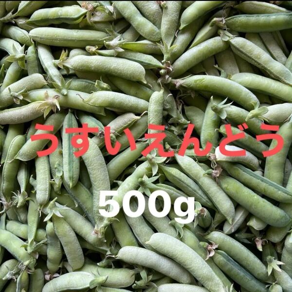 高知県産無農薬うすいえんどう500g