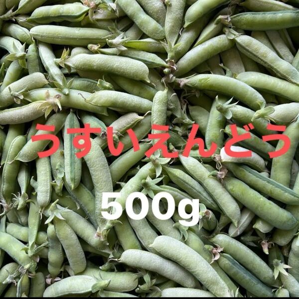 高知県産うすいえんどう500g