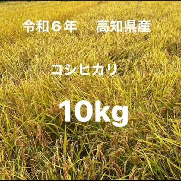 高知県産コシヒカリ玄米10kg