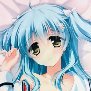 【正規品】ストロベリーノーツ 青兎みかも 抱き枕カバー もとみやみつき/HOOKSOFT/StrawberryNautu