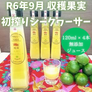 沖縄産 青切り シークワーサー ジュース 120ml x 4本 ソフトドリンク