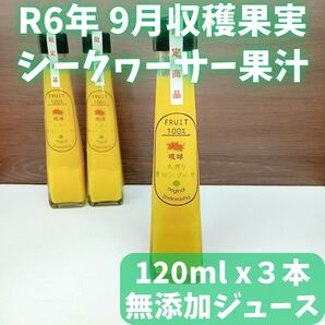 沖縄産 青切り シークワーサー ジュース 120ml x 3本 ソフトドリンク