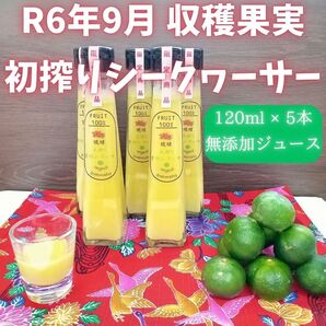 沖縄産 青切り シークワーサー ジュース 120ml x 5本 ソフトドリンク