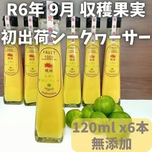 沖縄県産 青切り シークワーサージュース 120ml x 6本 フルーツジュース