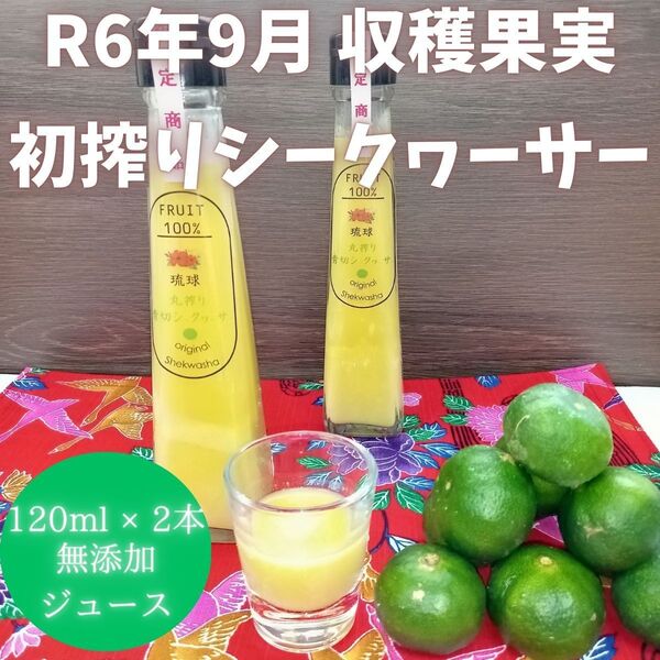 沖縄県産 青切り シークワーサー ジュース 120ml x 2本 原液 100%
