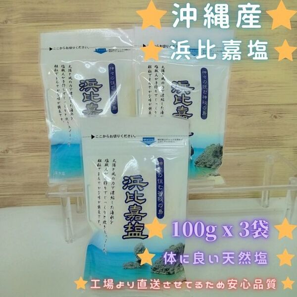 沖縄県産 浜比嘉塩 100g x 3袋 天日塩 調味料 お土産 海水塩