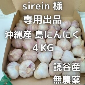 sirein 様専用出品 島にんにく4Kg