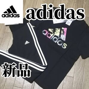 【大人気残りわずか】値下げ不可 新品 アディダス レディース 上下セット Мサイズ 黒 ブラック Tシャツ レギパン