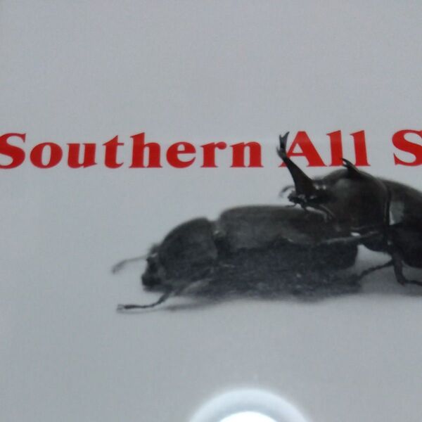 Southern All Stars サザンオールスターズ