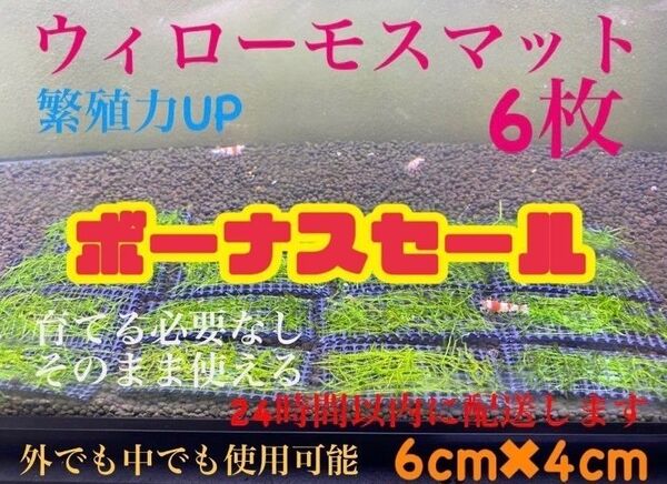 ウィローモス ウィローモスマット 6枚セット 業者様もご愛用 すぐ使えます。