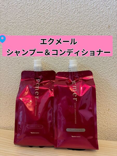★新入荷 ナリス化粧品エクメール シャンプー+コンディショナー