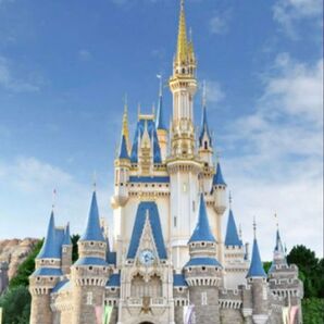 東京ディズニーリゾート パスポート ペア 新品未使用 2枚